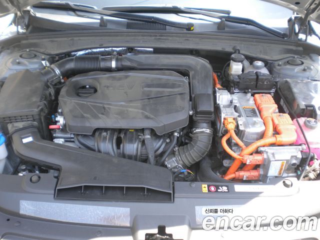 Kia K5 Hybrid (III) Signature 2023 — фото 6