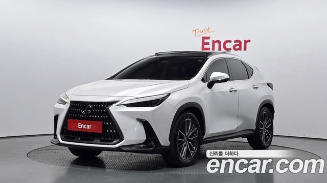 Lexus NX350h (II) Luxury 2023 — фото 1