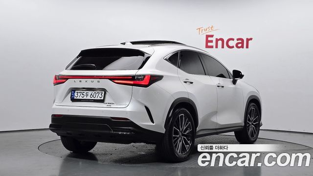 Lexus NX350h (II) Luxury 2023 — фото 2