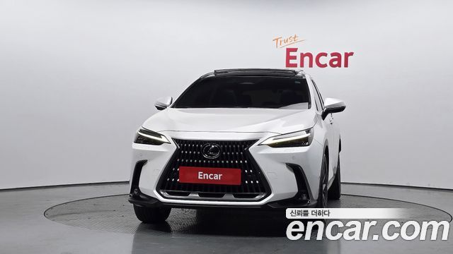 Lexus NX350h (II) Luxury 2023 — фото 3