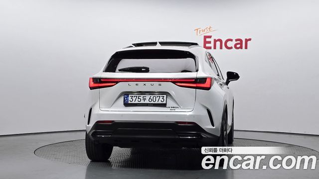 Lexus NX350h (II) Luxury 2023 — фото 4