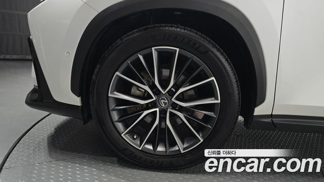 Lexus NX350h (II) Luxury 2023 — фото 5