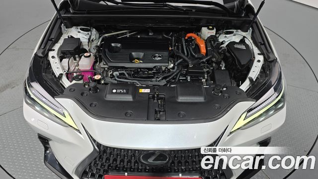 Lexus NX350h (II) Luxury 2023 — фото 6