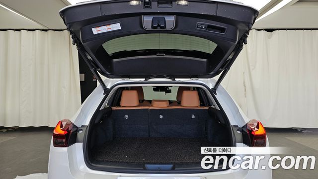 Lexus UX250h 2.0 AWD 2019 — фото 20