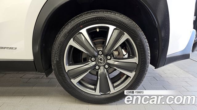 Lexus UX250h 2.0 AWD 2019 — фото 21