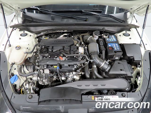 Kia K5 (III) 1.6 Turbo Signature 2023 — фото 23