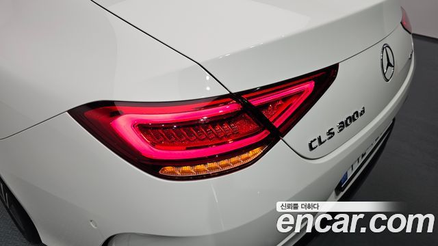 Mercedes-Benz CLS-Class (C257) CLS300d AMG Line 2019 — фото 23