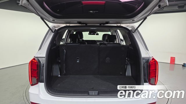 Hyundai Palisade Diesel 2.2 2WD Exclusive 2021 — фото 20
