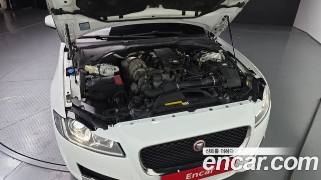 Jaguar XF (X260) 20d Prestige AWD 2017 — фото 6