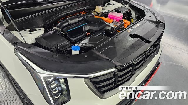 Kia Sorento (IV) HEV 1.6 2WD Gravity 2024 — фото 6