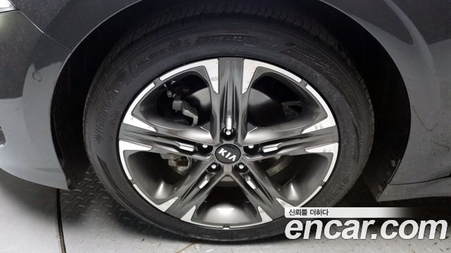 Kia K5 (III) 1.6 Turbo Signature 2021 — фото 5