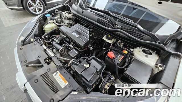 Honda CR-V (V) 1.5 EX-L 2WD 2019 — фото 6