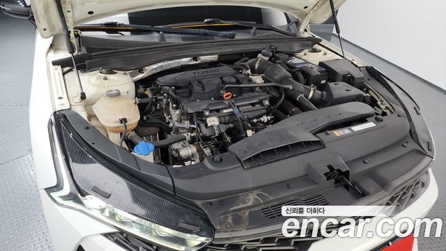 Kia K5 (III) 1.6 Turbo Noblesse 2021 — фото 6