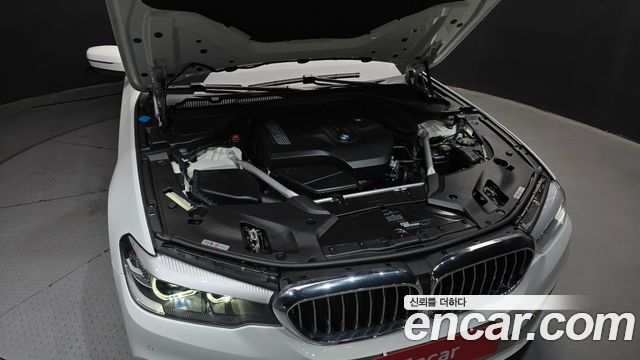 BMW 5 Series (G30) 520i Luxury 2019 — фото 6