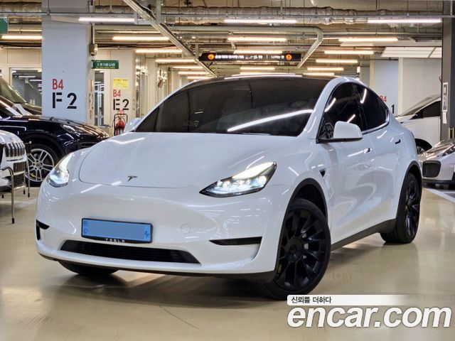 Tesla Model Y RWD 2023 — фото 1