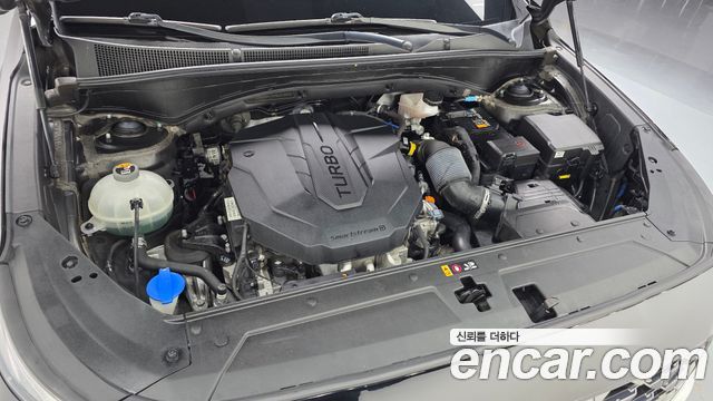 Hyundai Santa Fe Diesel 2.2 2WD Calligraphy 2021 — фото 6
