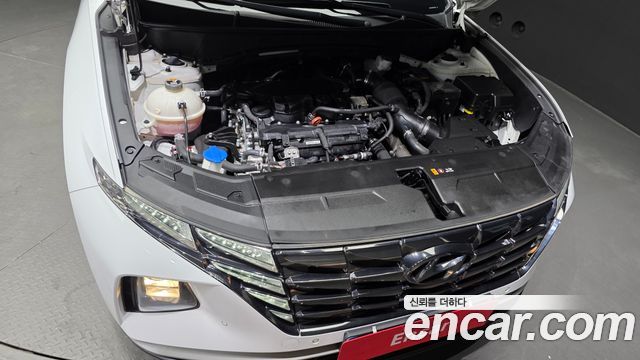 Hyundai Tucson (NX4) Gasoline 1.6 Turbo 2WD Premium 2023 — фото 6