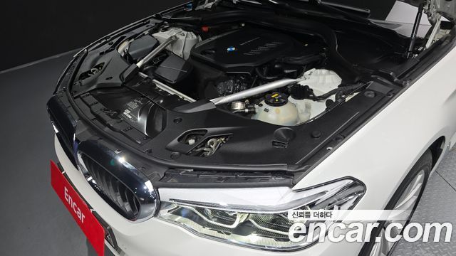 BMW 5 Series (G30) 520d xDrive Luxury Plus 2019 — фото 6