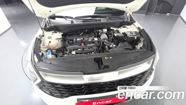 Kia Sportage (V) Gasoline 1.6 Turbo 2WD Signature 2022 — фото 6