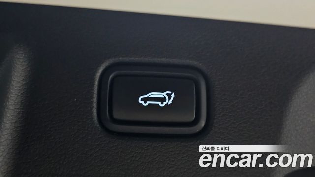 Hyundai Palisade Diesel 2.2 2WD Exclusive 2021 — фото 15