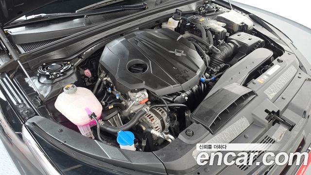 Kia K5 (III) 2.0 Prestige 2025 — фото 6