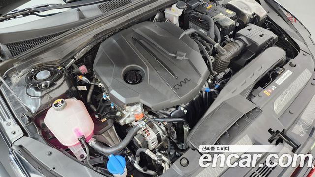 Kia K5 (III) 2.0 Prestige 2025 — фото 6