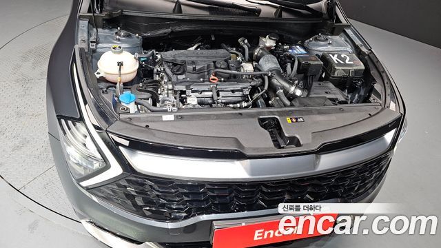 Kia Sportage (V) Gasoline 1.6 Turbo 2WD Prestige 2022 — фото 6