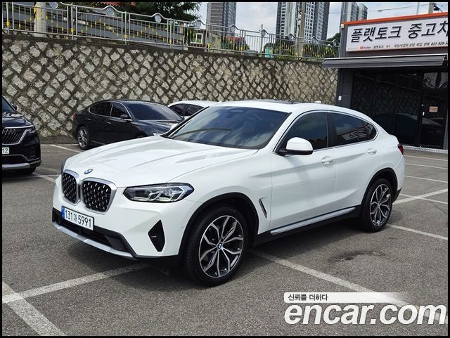 BMW X4 (G02) xDrive20i xLine