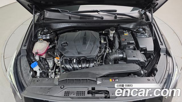 Kia K8 2.5 Gasoline 2WD Noblesse 2022 — фото 6