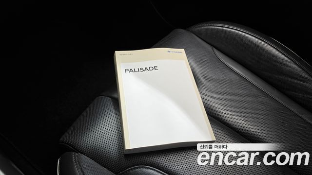 Hyundai Palisade Gasoline 3.8 2WD Exclusive 2023 — фото 16