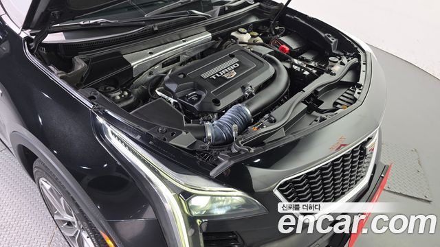 Cadillac XT4 2.0 Sport AWD 2023 — фото 6