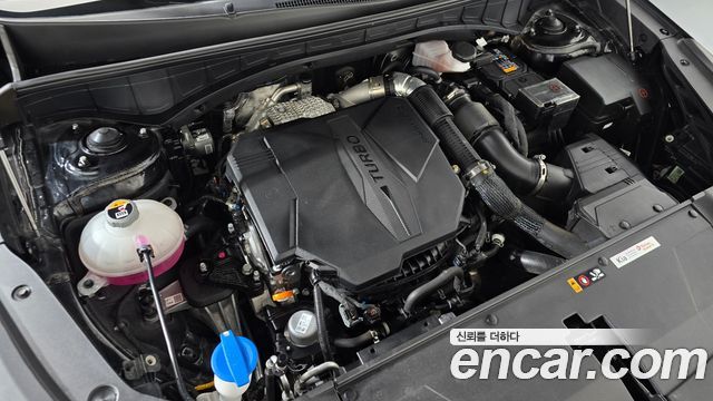 Kia Sorento (IV) Gasoline 2.5T 2WD Signature 2024 — фото 6