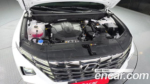 Hyundai Tucson (NX4) Diesel 2.0 4WD Modern 2023 — фото 6