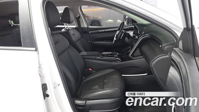 Hyundai Tucson (NX4) Diesel 2.0 4WD Modern 2023 — фото 11