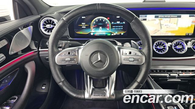 Mercedes-Benz AMG GT 4Door 43 4MATIC+ 2019 — фото 13
