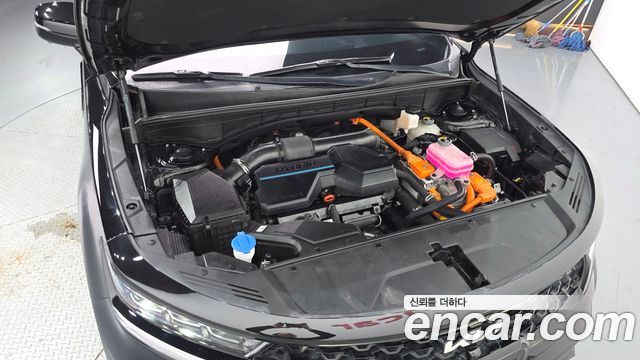 Kia Sorento (IV) HEV 1.6 2WD Gravity 2023 — фото 6