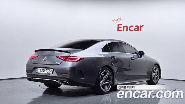 Mercedes-Benz CLS-Class (C257) CLS300d AMG Line 2019 — фото 3