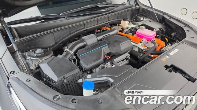 Kia Sorento (IV) HEV 1.6 2WD Gravity 2025 — фото 6