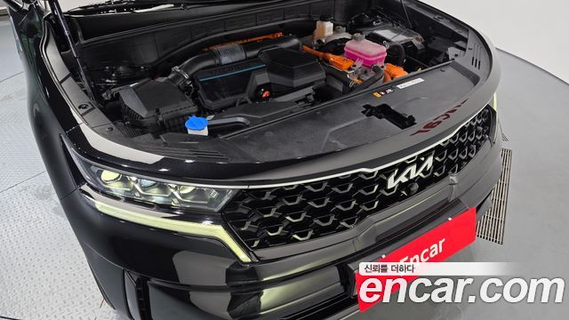 Kia Sorento (IV) HEV 1.6 2WD Noblesse 2023 — фото 6