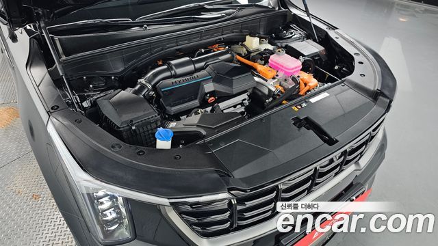 Kia Sorento (IV) HEV 1.6 2WD Gravity 2024 — фото 6