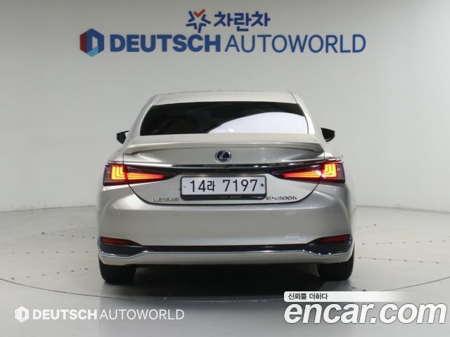 Lexus ES300h (VII) Executive 2019 — фото 4