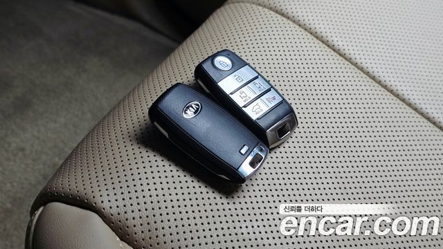 Kia Carnival 9-Seater Hi-Limousine Noblesse Special 2019 — фото 21
