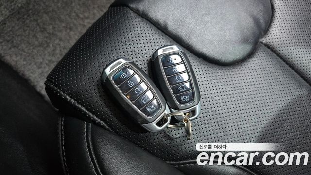 Hyundai Santa Fe (TM) Diesel 2.0 2WD Exclusive 2020 — фото 30