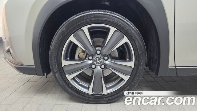 Lexus UX250h 2.0 AWD 2019 — фото 5