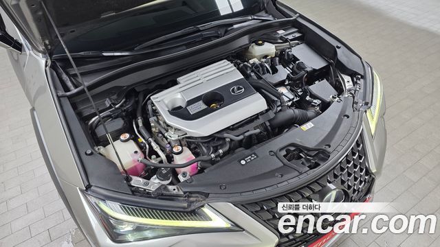 Lexus UX250h 2.0 AWD 2019 — фото 6