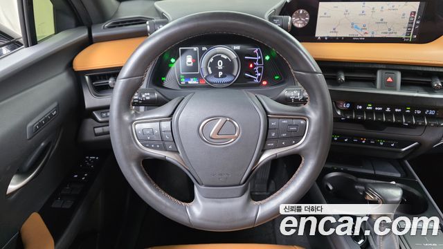 Lexus UX250h 2.0 AWD 2019 — фото 14