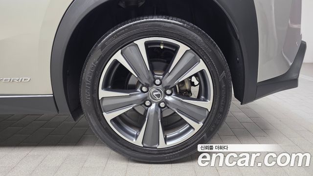 Lexus UX250h 2.0 AWD 2019 — фото 21