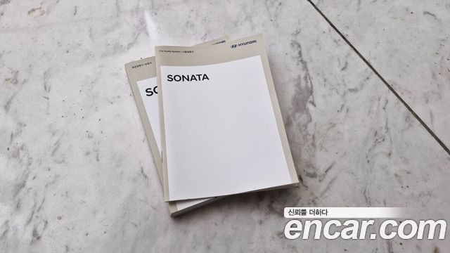Hyundai Sonata (DN8) 2.0 LPG(rental car) Style 2021 — фото 22
