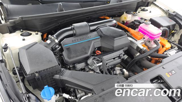 Kia Sportage Hybrid (V) Signature 2WD 2024 — фото 6