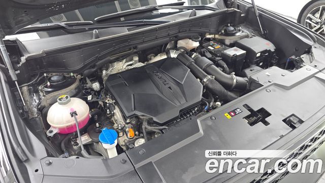 Hyundai Santa Fe (MX5) Gasoline 2.5T 4WD Calligraphy 2024 — фото 6